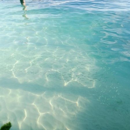 Hidden Island Glamping Isla Mujeres Hotell Eksteriør bilde